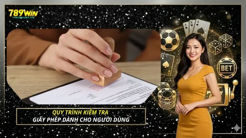 Quy trình kiểm tra giấy phép dành cho người dùng